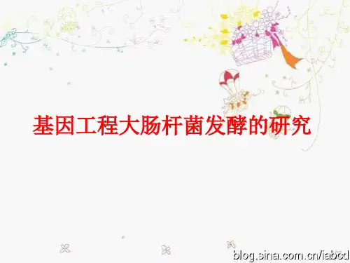基因工程大肠杆菌发酵的研究