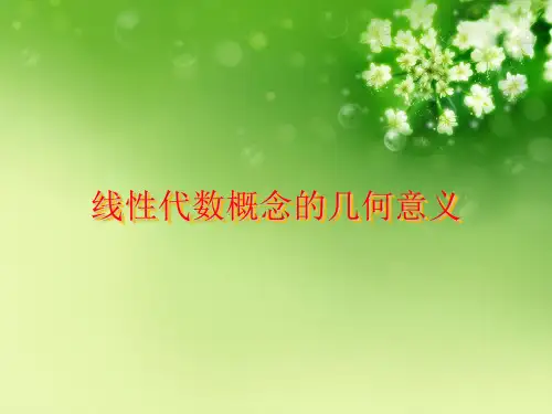 线性代数概念的几何意义优秀课件