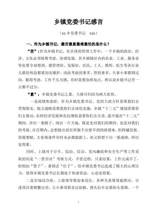 xx乡镇党委书记感言