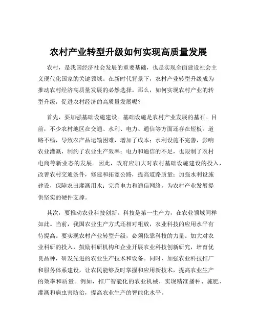 农村产业转型升级如何实现高质量发展