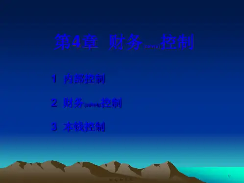 4财务控制(精品PPT)