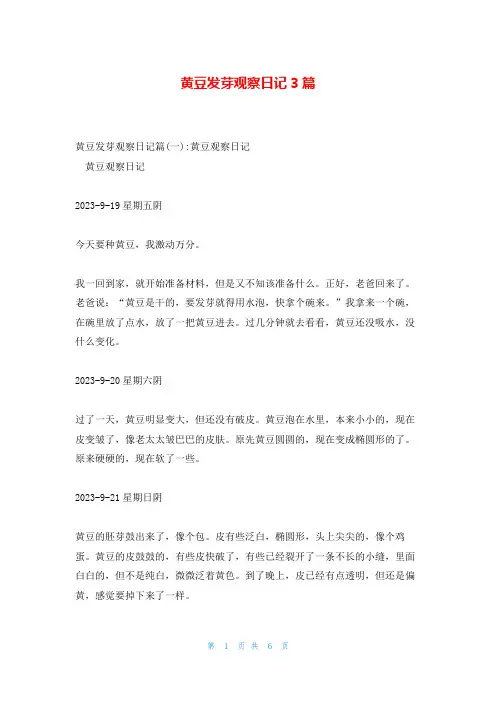 黄豆发芽观察日记3篇