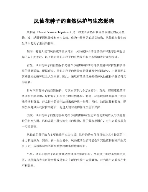 凤仙花种子的自然保护与生态影响