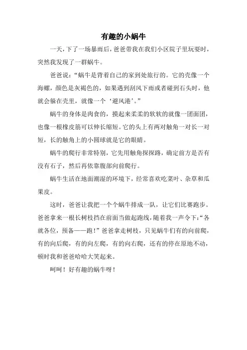 有趣的小蜗牛