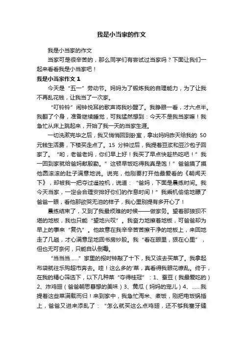 我是小当家的作文