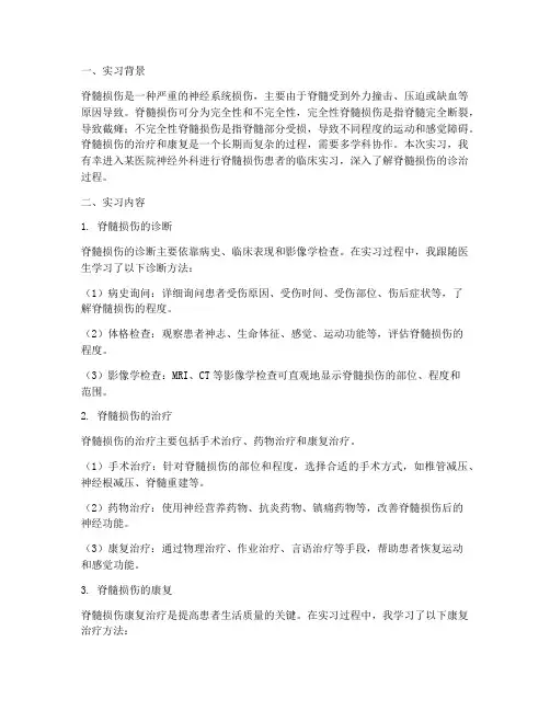 脊髓损伤实习报告