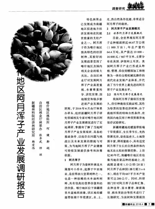 喀什地区阿月浑子产业发展调研报告