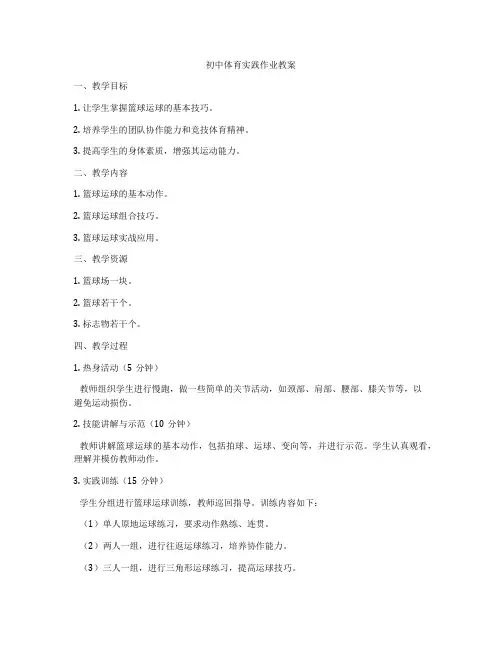 初中体育实践作业教案
