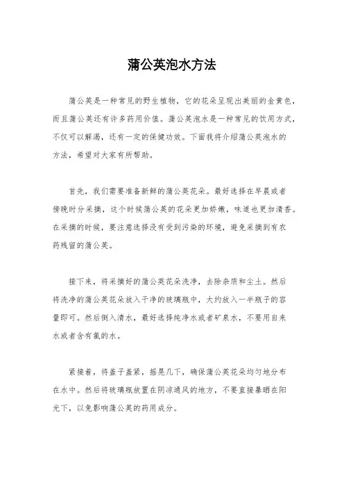 蒲公英泡水方法