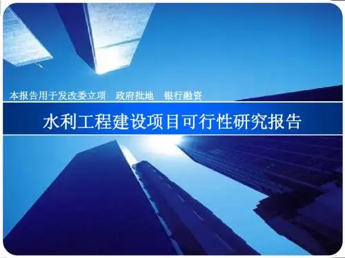 水利工程建设项目可行性研究报告