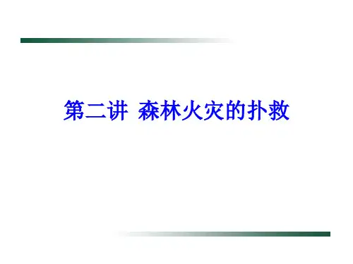 第二讲森林火灾的扑救 