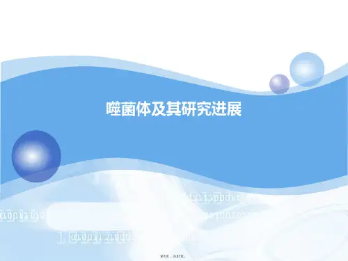 噬菌体及其研究进展PPT课件
