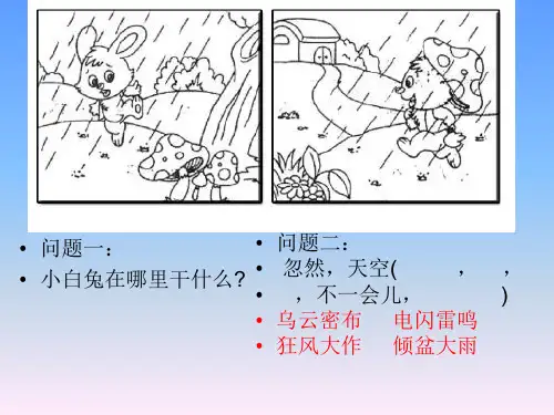 低年级看图说话《聪明的小白兔》
