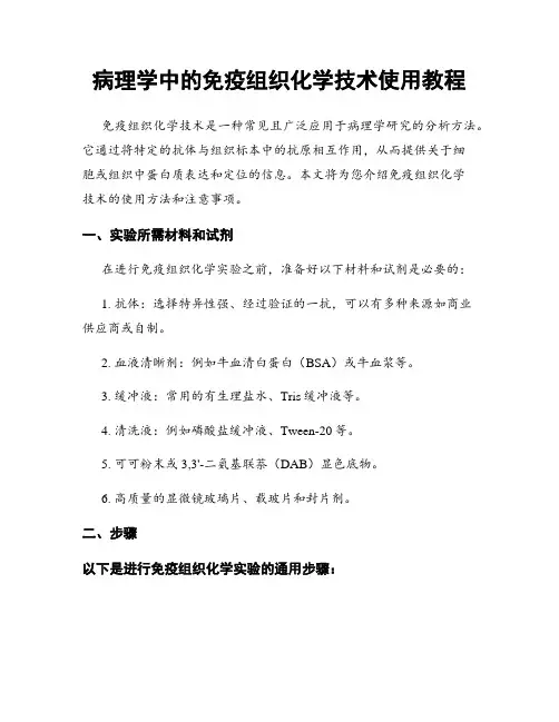 病理学中的免疫组织化学技术使用教程