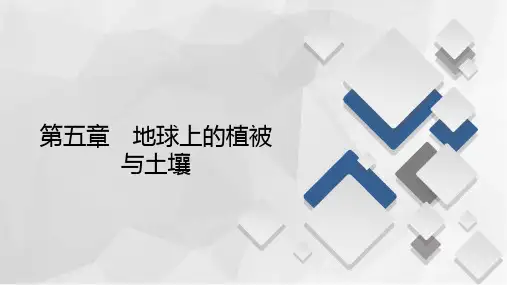 高中地理新湘教版必修第一册课件第5章第2节土壤的形成课件(87张)