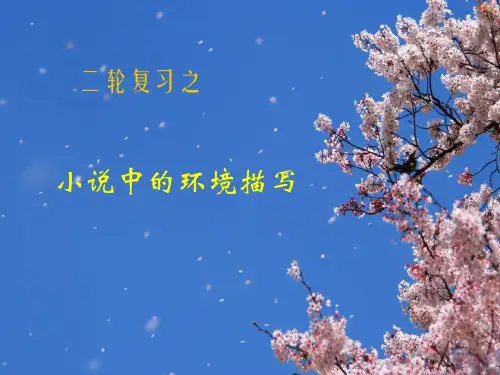 小说的环境描写-高三语文二轮复习课件