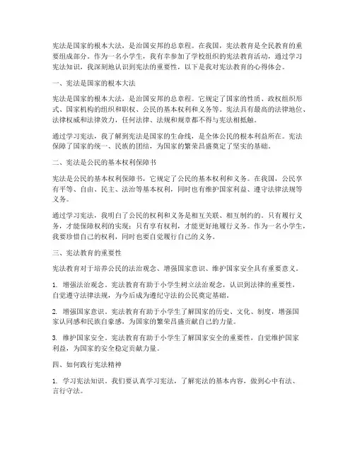 小学生宪法教育心得体会