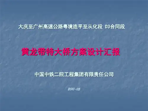 黄龙带特大桥方案设计汇报(赵通)