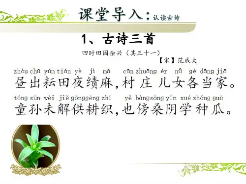 最新部编版语文五年级下册《四时田园杂兴》其三十一优质课教学课件(可编辑)