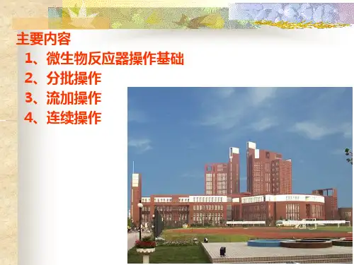 四章节微生物反应器操作