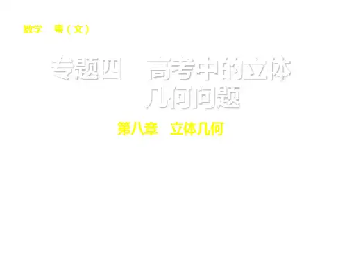 (广东专用)高考数学一轮复习专题四立体几何问题课件文