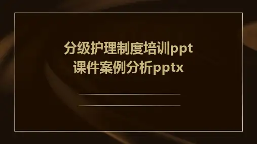 分级护理制度培训ppt课件案例分析pptx