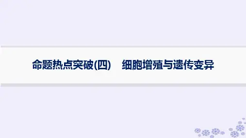 浙江专版2025高考生物一轮总复习第6单元生物的变异与进化命题热点突破4细胞增殖与遗传变异课件浙科版