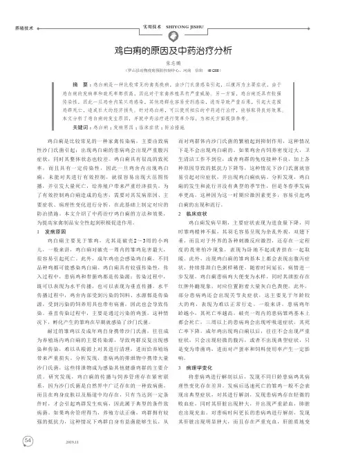 鸡白痢的原因及中药治疗分析