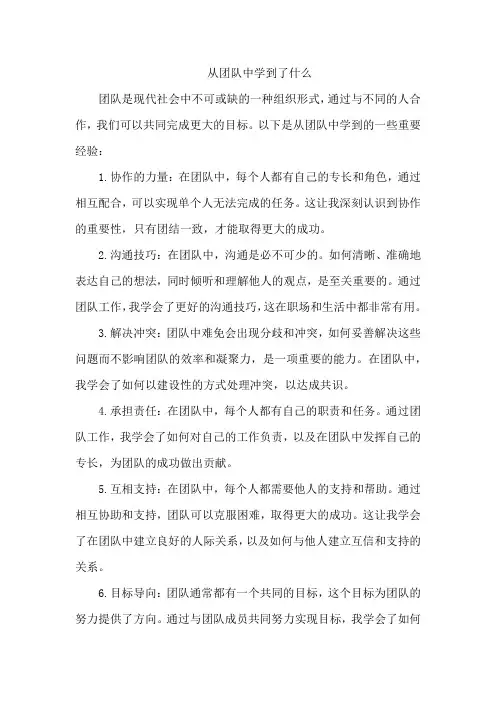 从团队中学到了什么