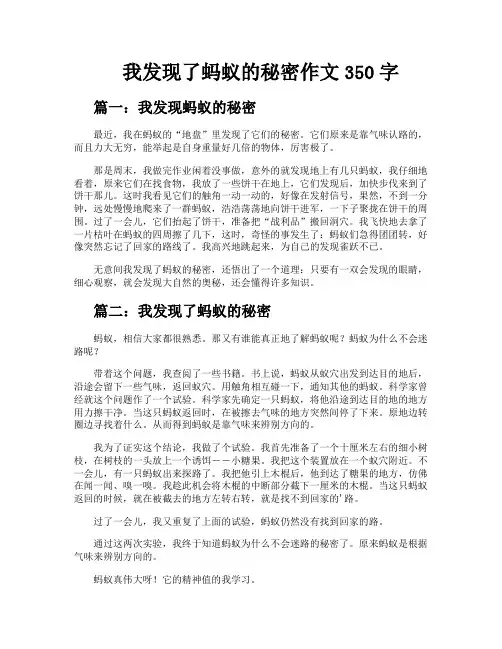 我发现了蚂蚁的秘密作文350字