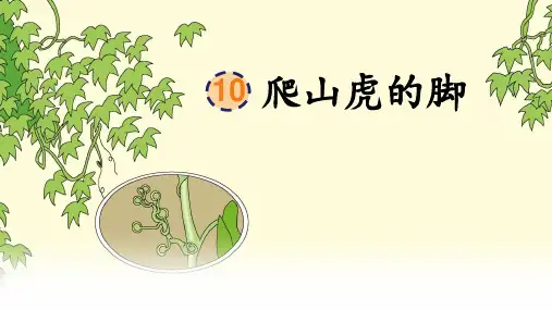 部编版语文四年级上册10《爬山虎的脚》课件(共18张PPT)