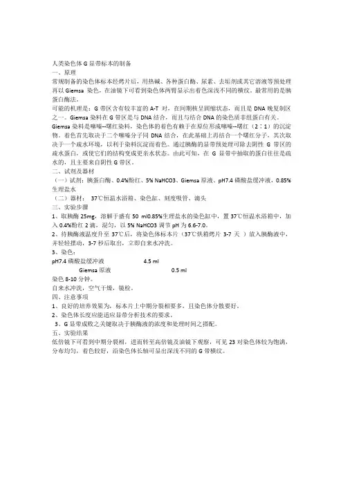人类染色体G显带标本的制备