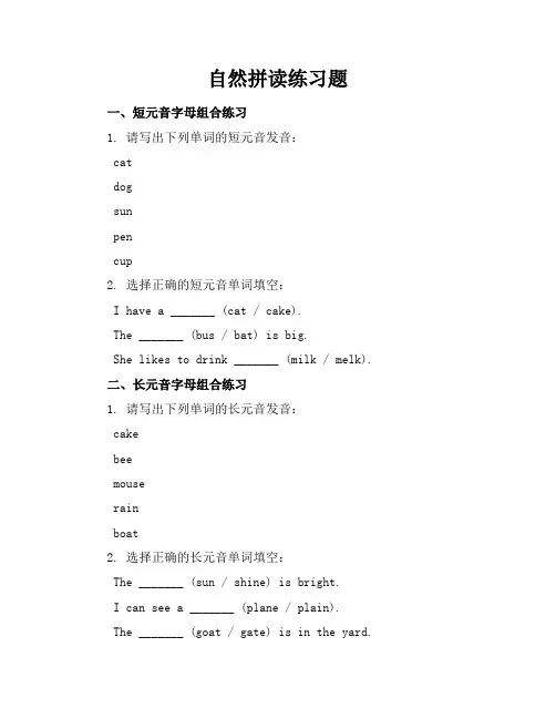 自然拼读练习题