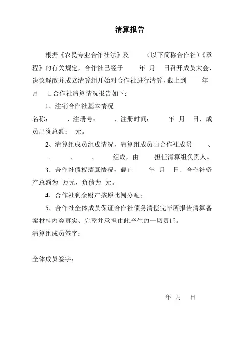 农民专业合作社清算报告