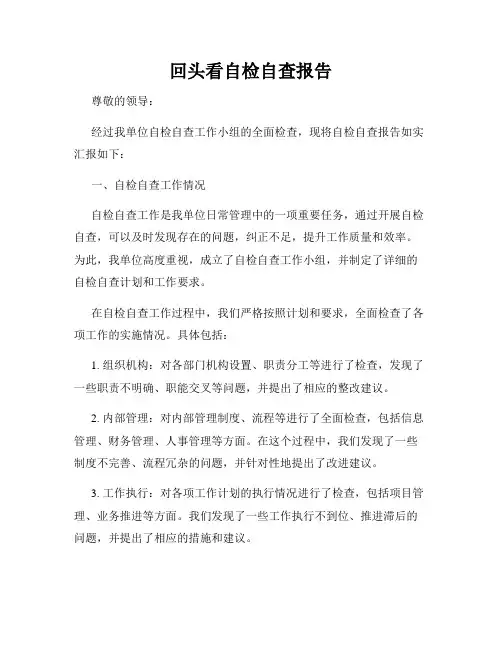 回头看自检自查报告