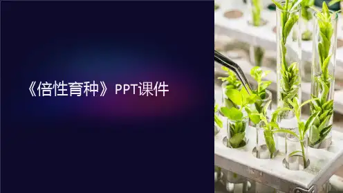 《倍性育种》课件