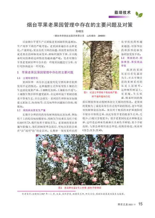 烟台苹果老果园管理中存在的主要问题及对策