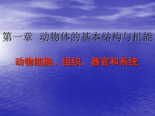 第一章 动物体的结构
