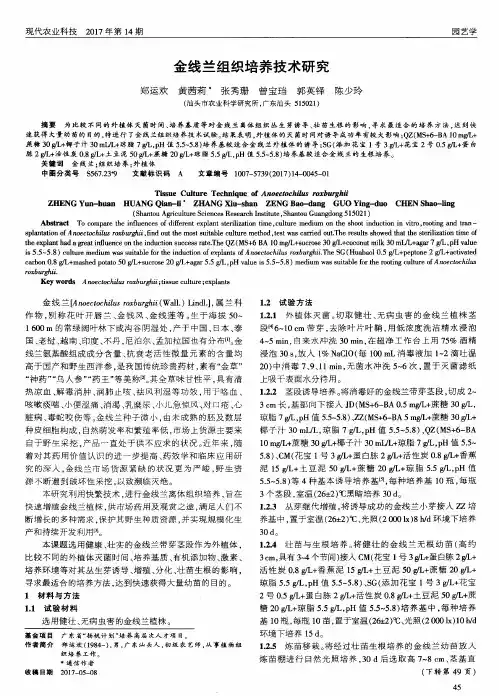 金线兰组织培养技术研究