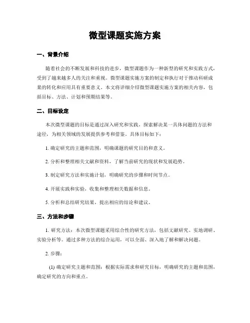 微型课题实施方案