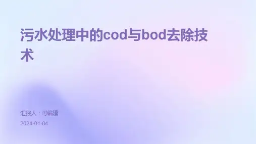 污水处理中的COD与BOD去除技术