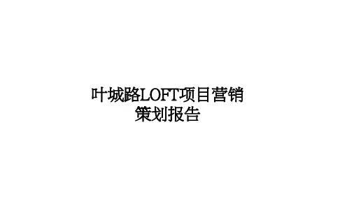 LOFT营销策划报告