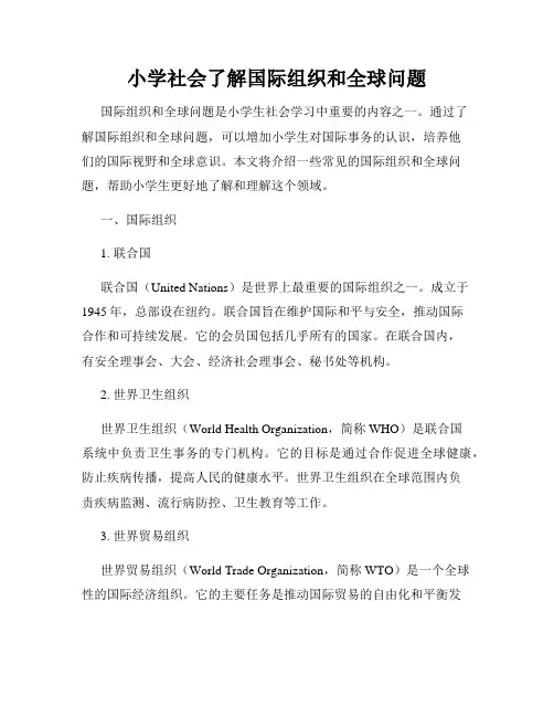 小学社会了解国际组织和全球问题
