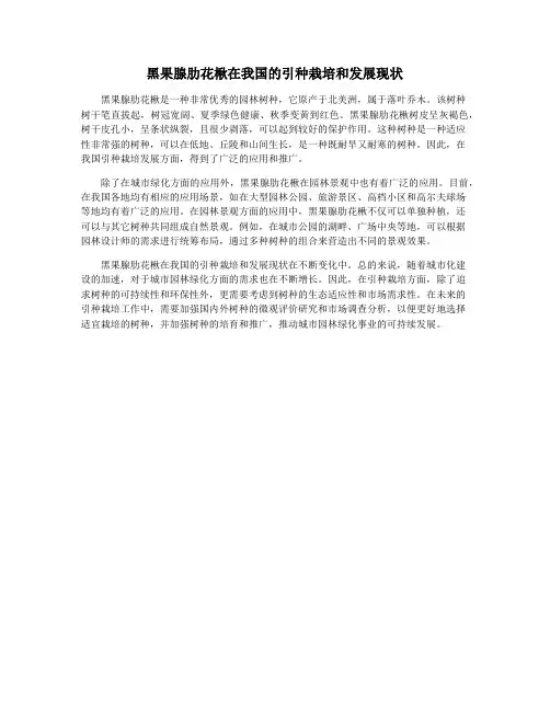 黑果腺肋花楸在我国的引种栽培和发展现状