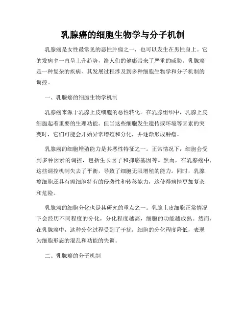 乳腺癌的细胞生物学与分子机制