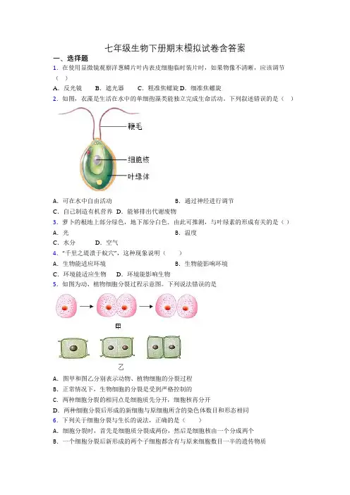 七年级生物下册期末模拟试卷含答案