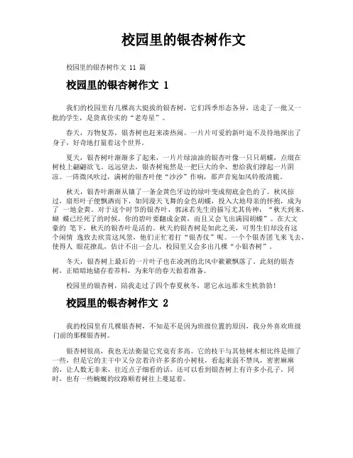 校园里的银杏树作文