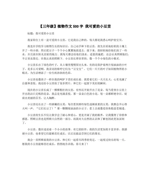 【三年级】植物作文500字 我可爱的小豆苗