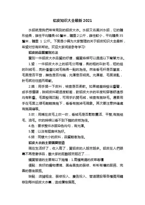 貂皮知识大全最新2021
