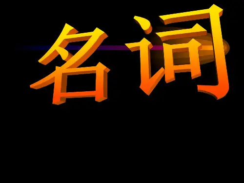 中考英语名词